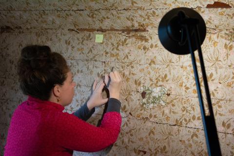 Hilary LeFevere Conducts Conservation Work on the Original Wallpaper