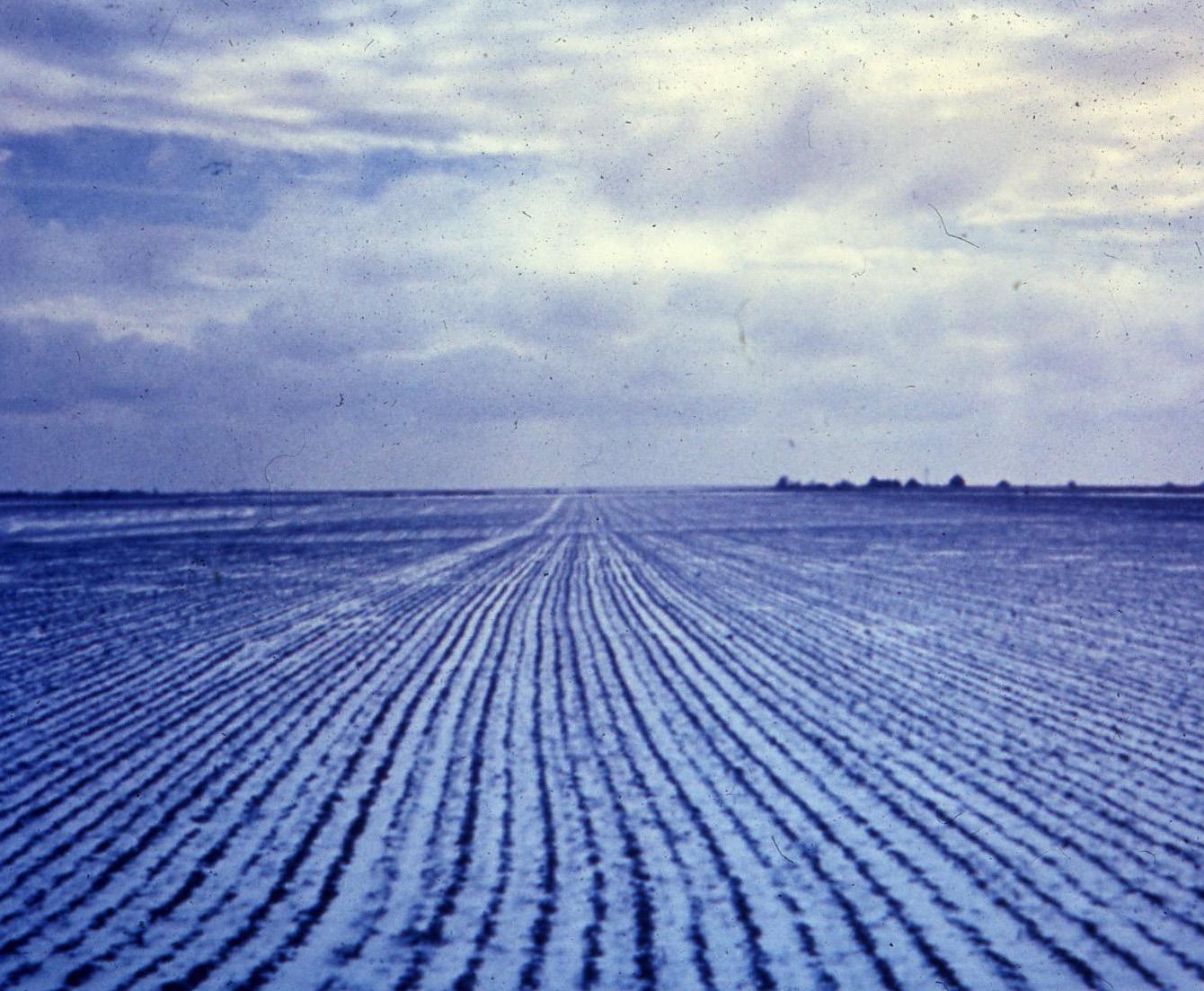 David E. Sherman photograph David E. Sherman photograph of a field