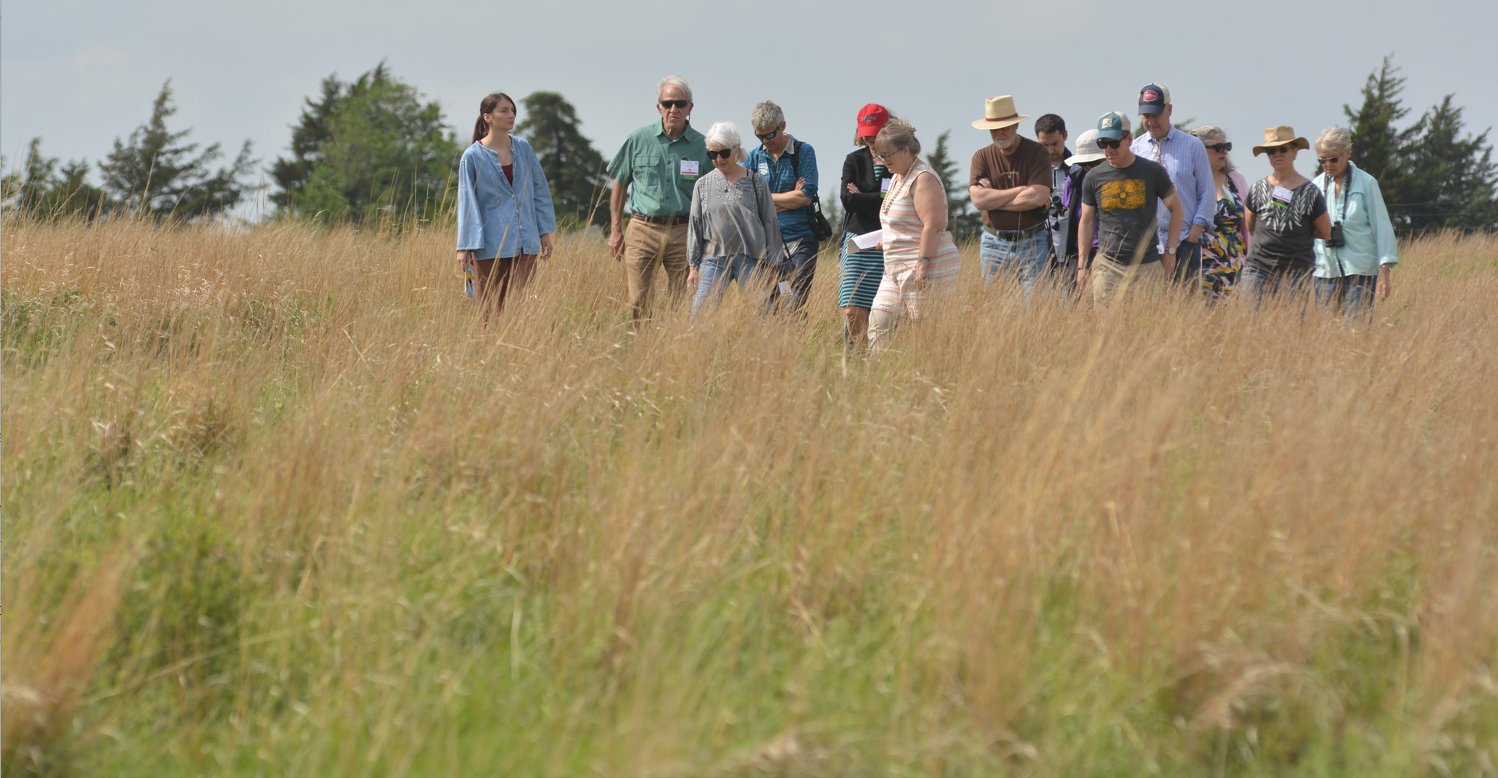 a group of people walk the willa cather memoria prairie during the summer