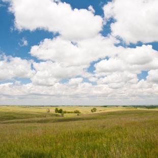 © Tracy Sanford Tucker for the National Willa Cather Center