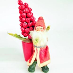 Cather Family Christmas Decorations