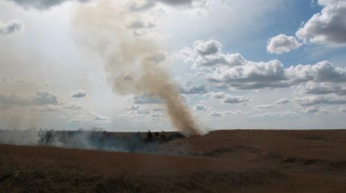 prairie_burn_09.jpg