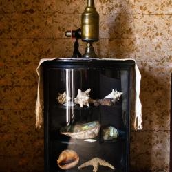 Willa Cather's seashell collection in her bedroom at the Willa Cather Childhood Home, showing the original "rose-bower" wallpaper.