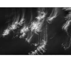 Equivalency | Rick Houchin | $95