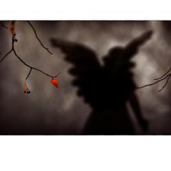 Guardians | Rick Houchin | $95