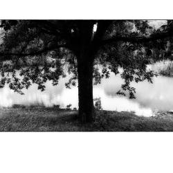 Strong Sentinel Mini | Rick Houchin | $95