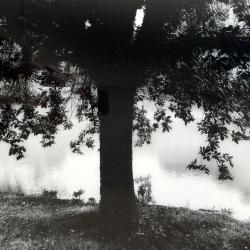 Strong Sentinel | Rick Houchin | $325