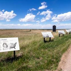 The Willa Cather Memorial Prairie
