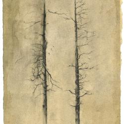Book End | Travis Hencey | graphite and charcoal on prepared paper | $460 14.5x22 framed