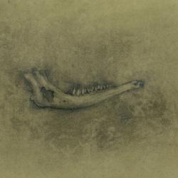 Heaps Upon Heaps | Travis Hencey | graphite & charcoal on prepared paper | $350 13x8.5 framed