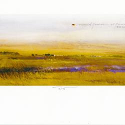 Memorial Prairie "O Pioneers" | Martin Baeyens | computer design on bockingford paper