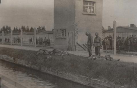 Bodies of dead S.S. guards at Dachau