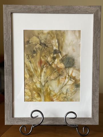 Framed botanical print on paper