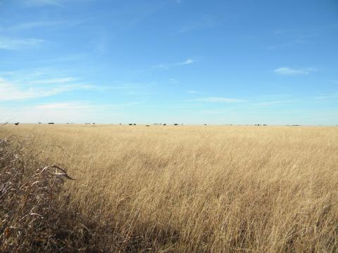 29425459.jpg 29425459.jpg