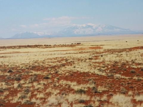 barb_landscape.jpg barb_landscape.jpg