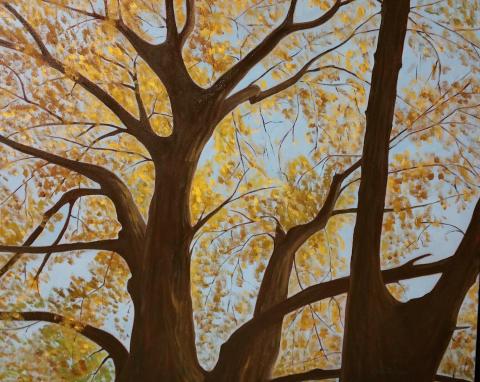 carol_tree.jpg carol_tree.jpg