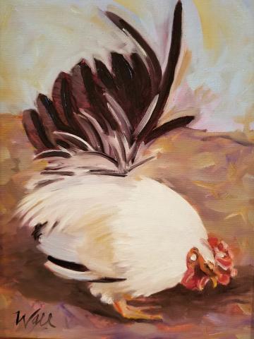 chickens.jpg chickens.jpg