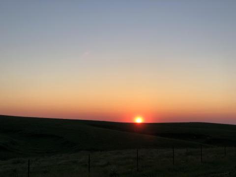 img_8317.jpg img_8317.jpg