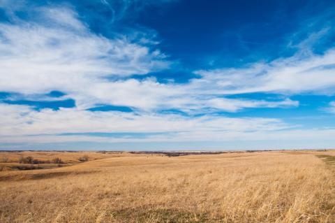 prairie1web.jpg prairie1web.jpg