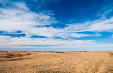 prairie1web_0.jpg prairie1web_0.jpg