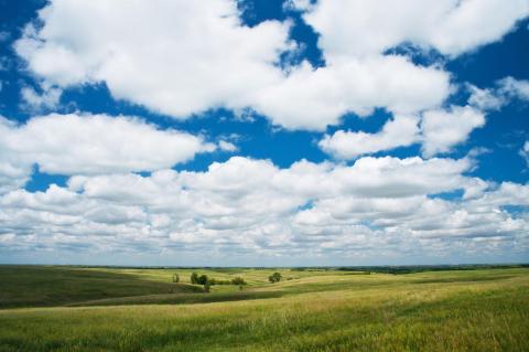 prairie2wb.jpg prairie2wb.jpg