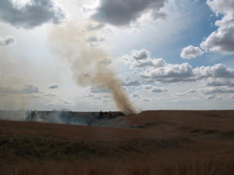 prairie_burn_09.jpg