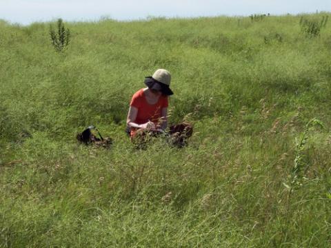 prairie_writers_workshop_2009.jpg prairie_writers_workshop_2009.jpg