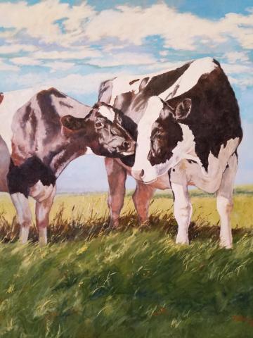 two_cows.jpg two_cows.jpg