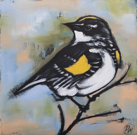 warbler_oil_on_paper_8x8unframed_wallace.jpg